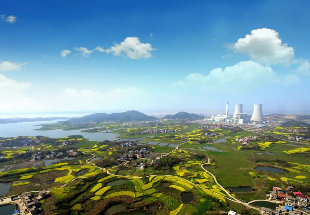 電廠全景 電廠全景